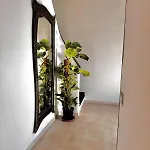 호텔 Boutique San Daniele 3*