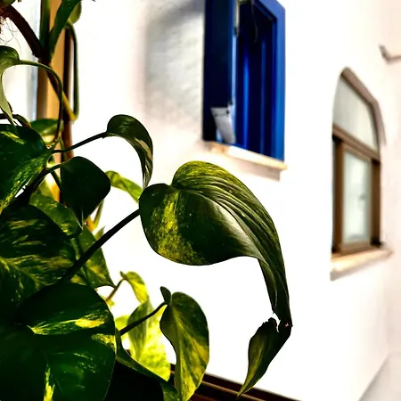 Hotel Boutique San Daniele Cirella