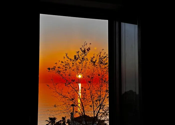 Boutique San Daniele 3* 奇雷拉