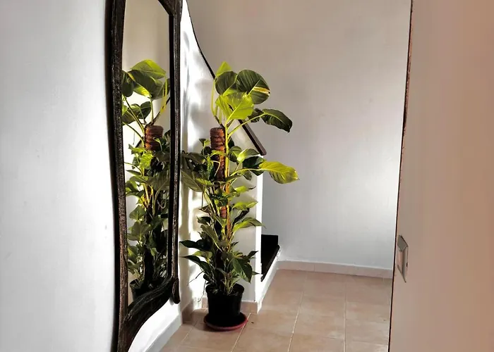 酒店 Boutique San Daniele 3*